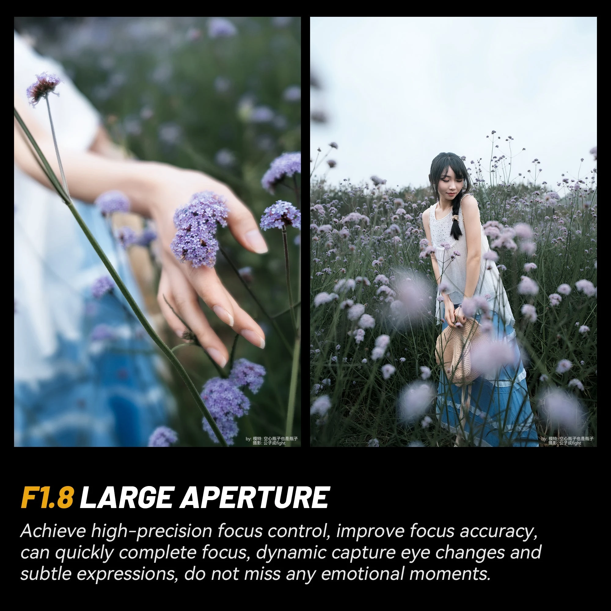Lens image 3