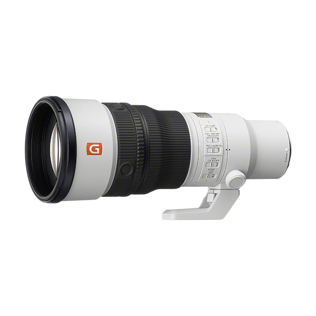 Sony FE 600 mm f/6.3 GM OSS view 2