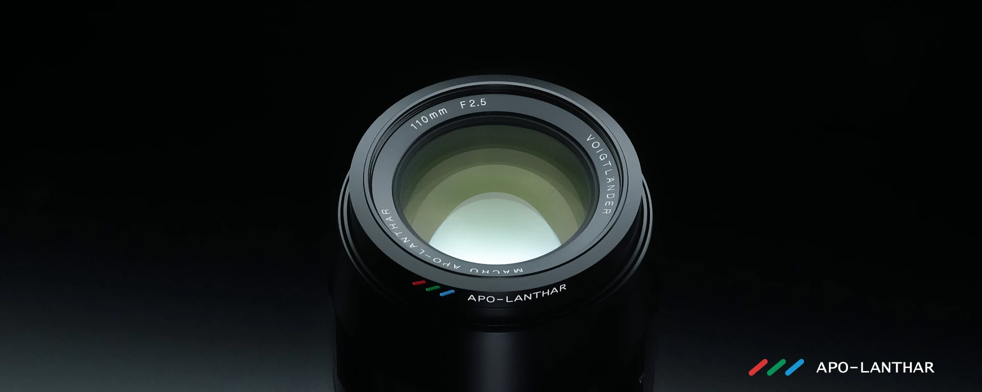 Voigtlander Apo Lanthar 110 mm f/2.5 Macro view 2